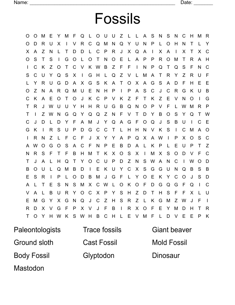 Fossils Word Search