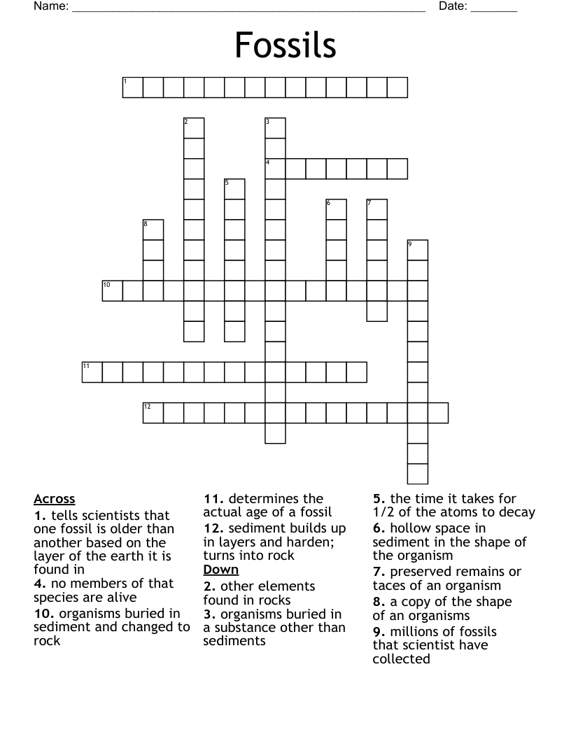 Fossils Crossword