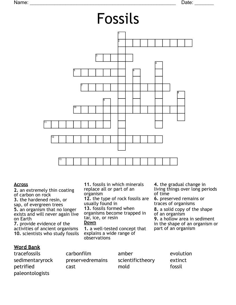 Fossils Crossword