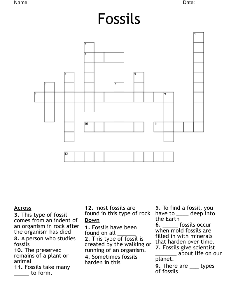 Fossils Crossword