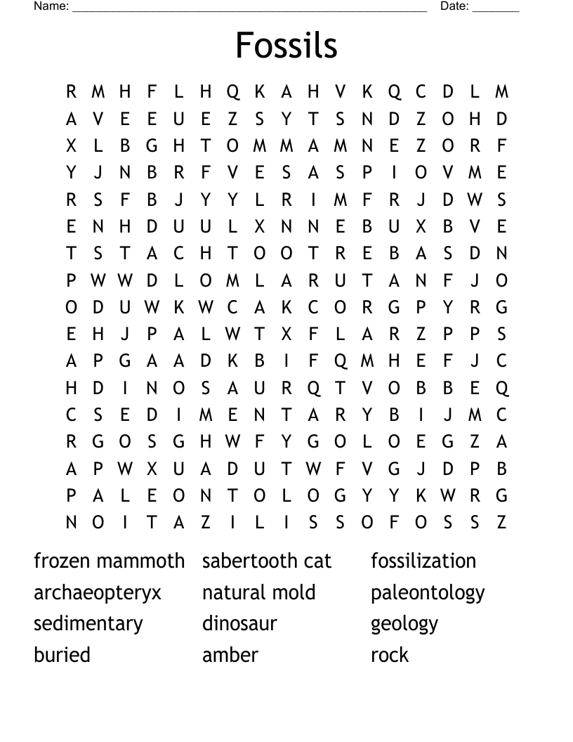 Fossils Word Search