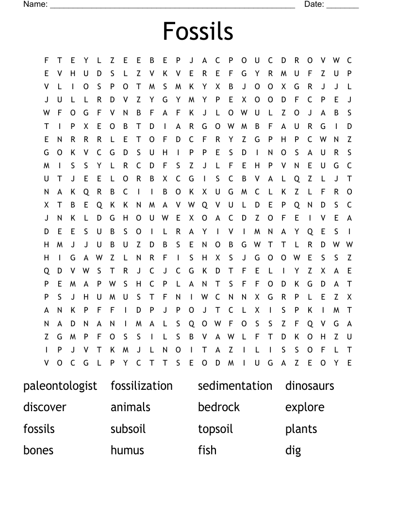 Fossils  Word Search