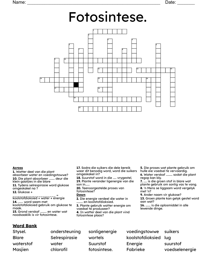 Fotosintese.  Crossword