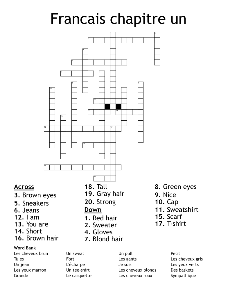 Francais chapitre un Crossword