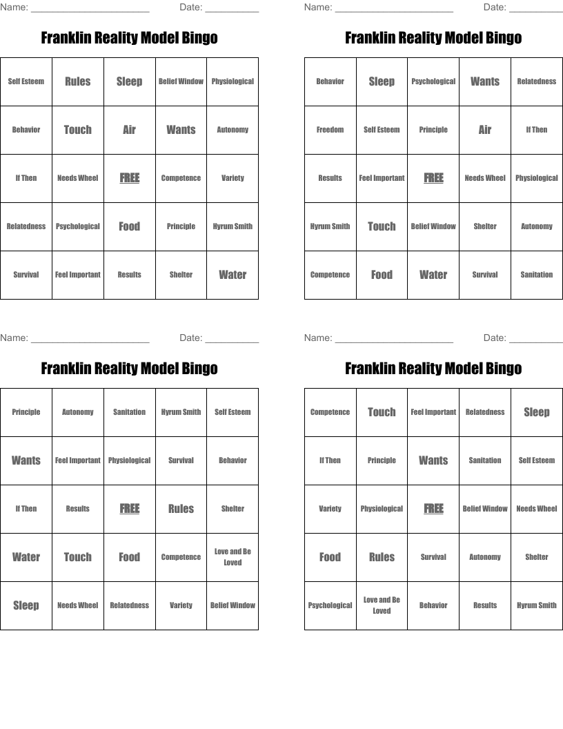 Franklin Reality Model Bingo