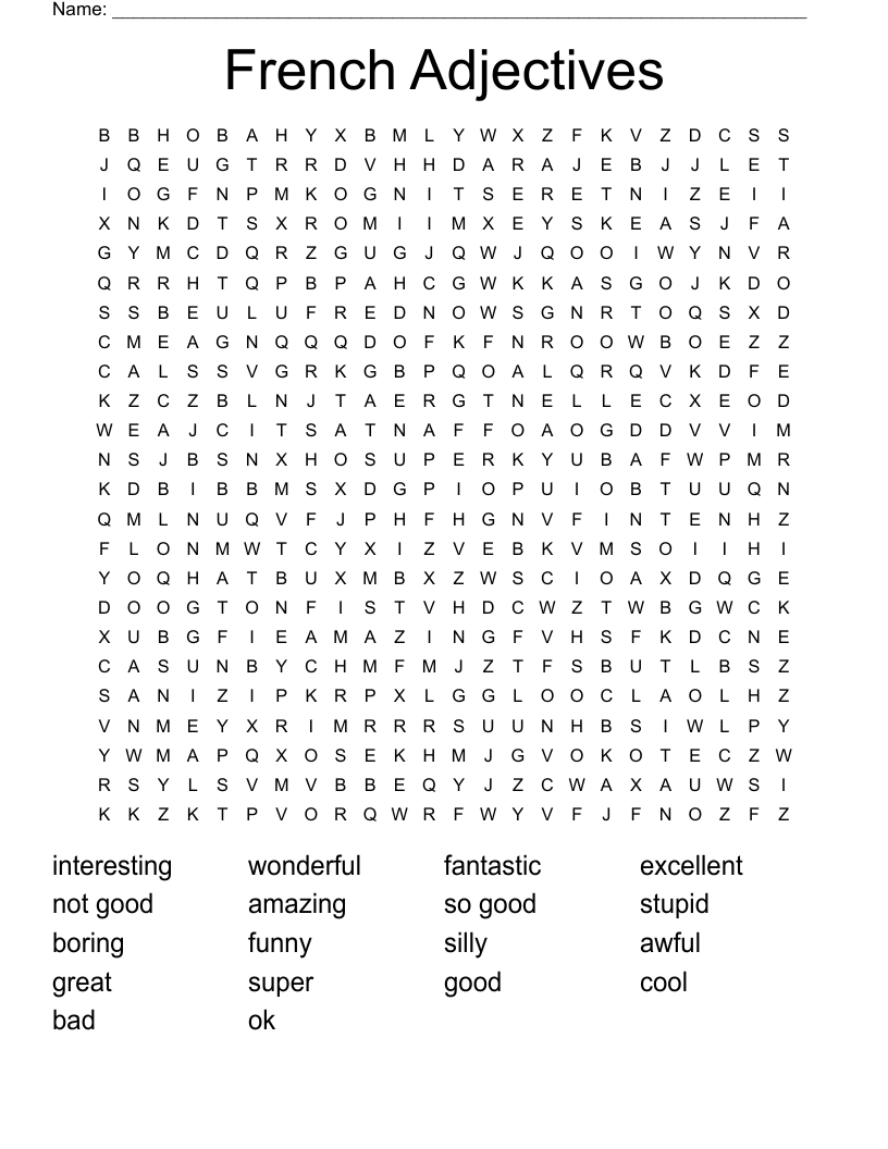 French Adjectives Word Search