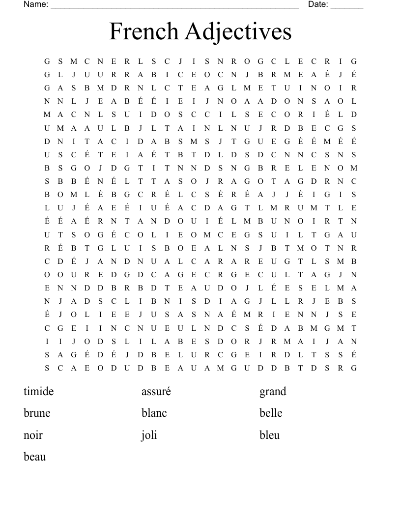 French Adjectives  Word Search