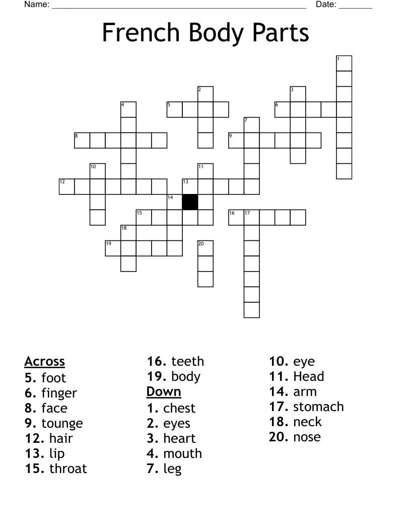 French Body Parts Crossword