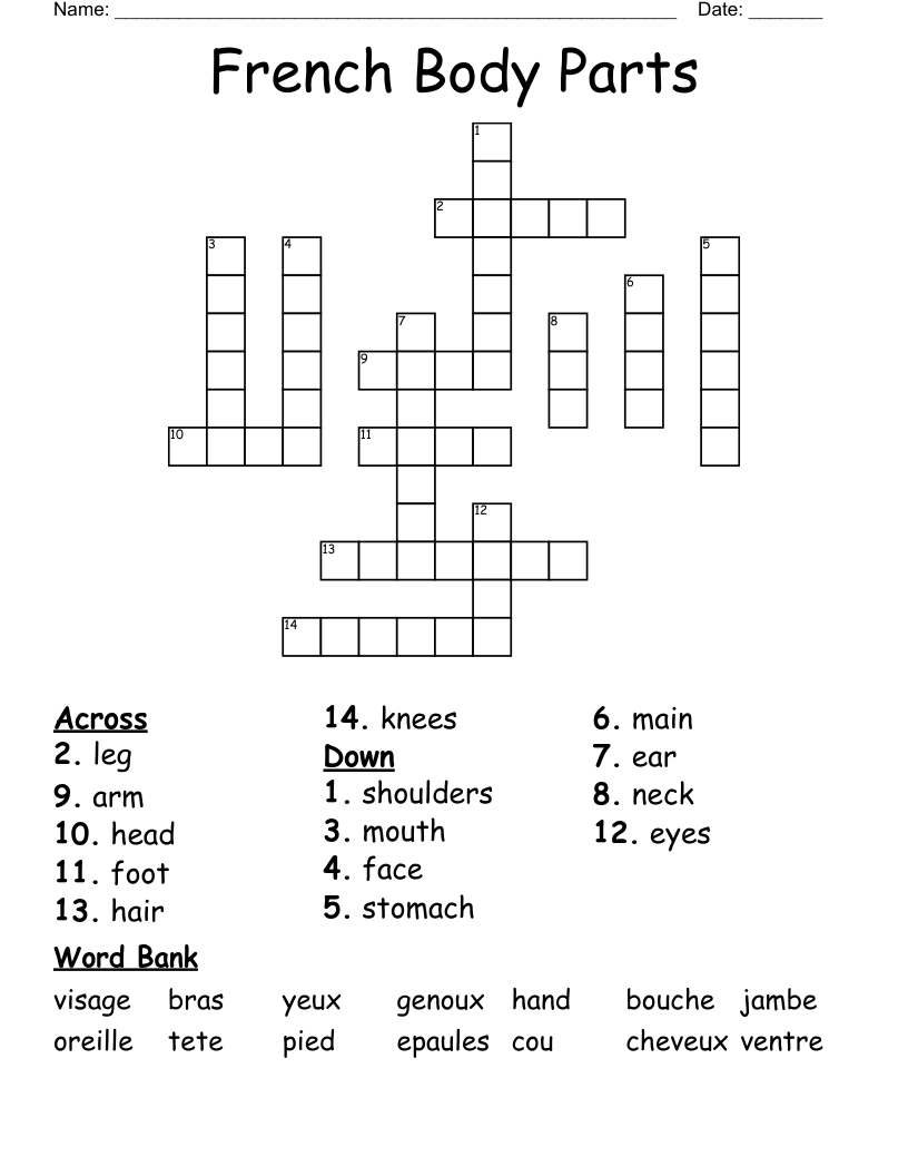 French Body Parts Crossword