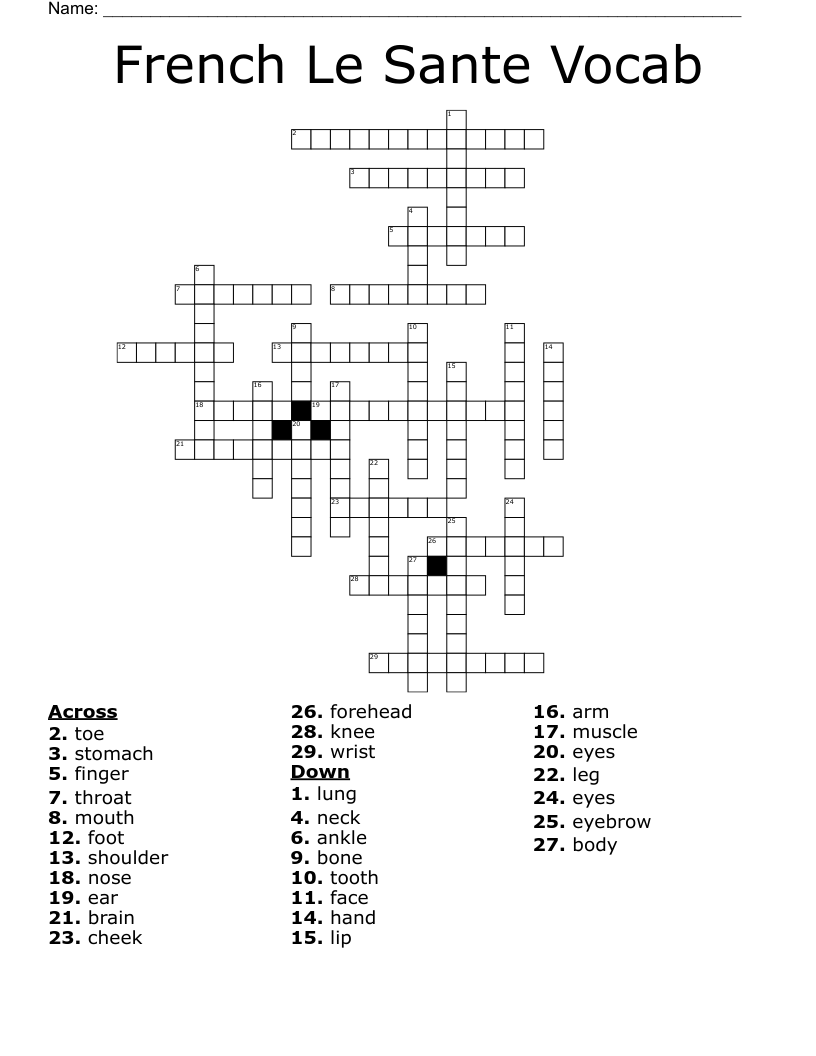 French Le Sante Vocab Crossword