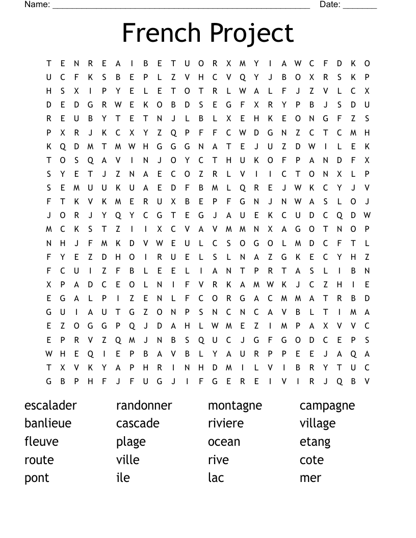French Project Word Search