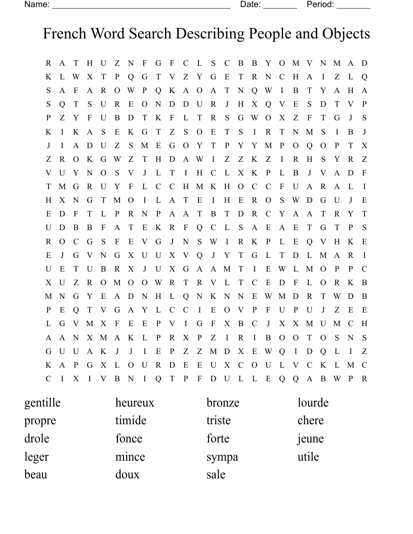 French Word Search Describing People and Objects