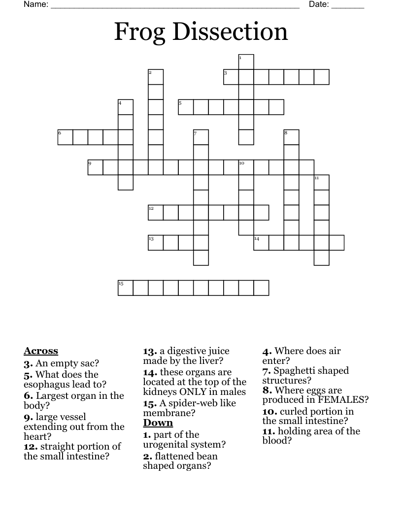 Frog Dissection Crossword