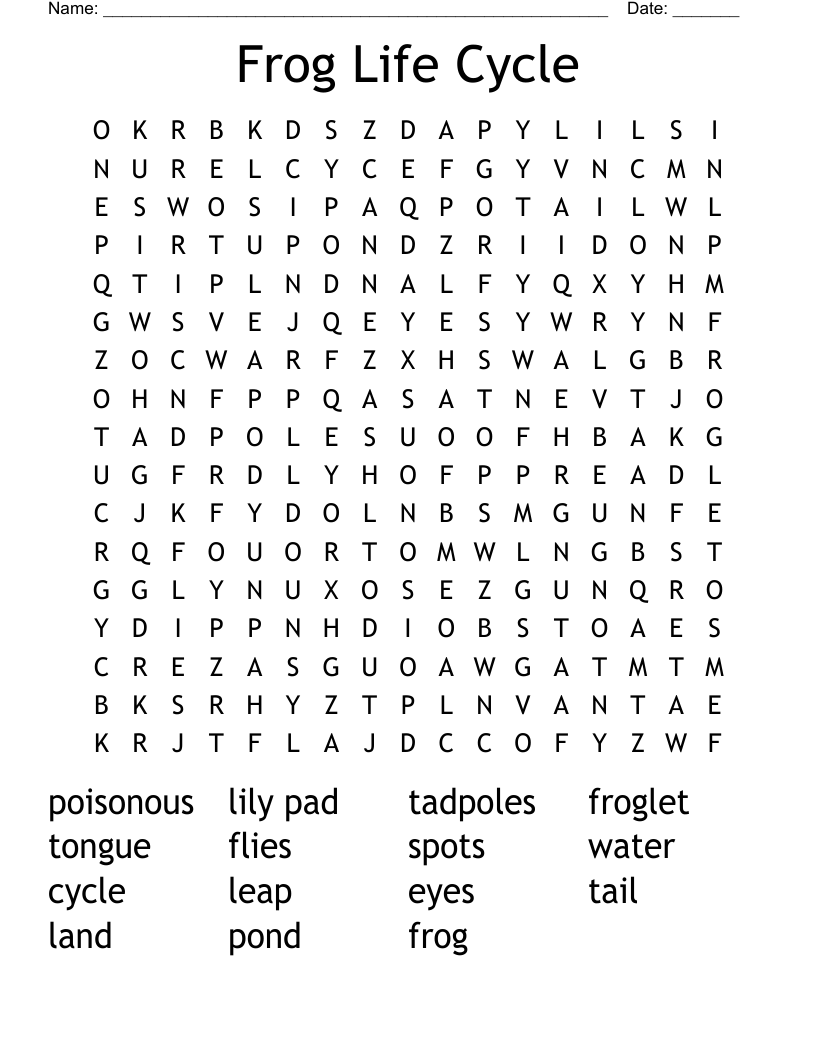 Frog Life Cycle Word Search