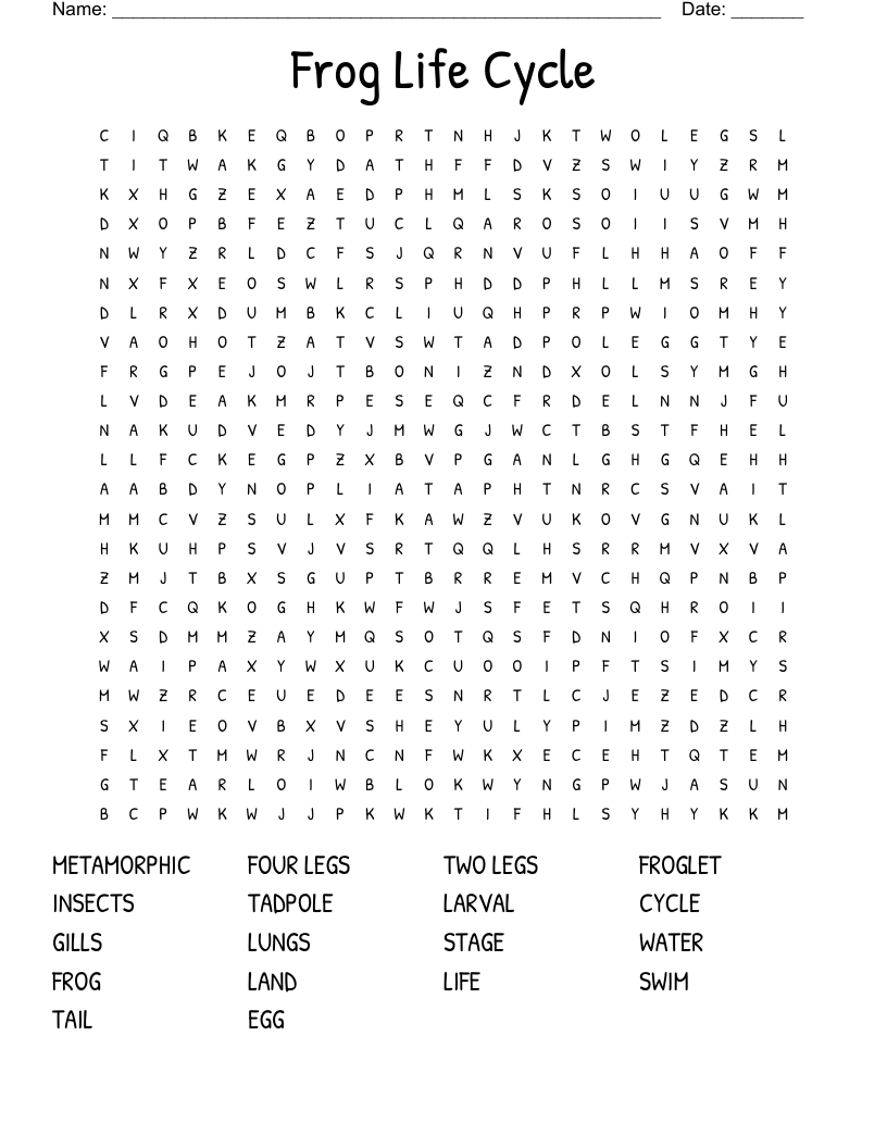Frog Life Cycle  Word Search