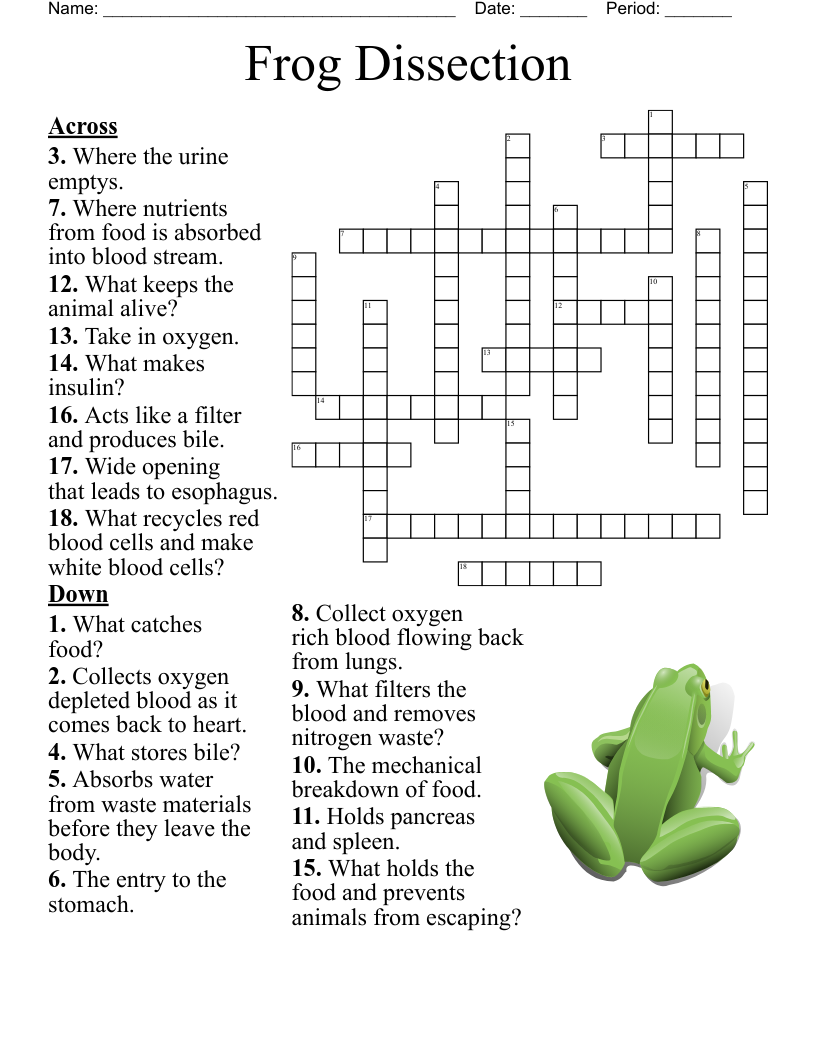 Frog  Dissection  Crossword