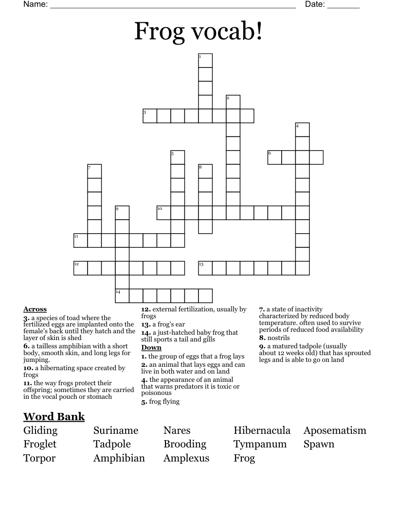 Frog vocab! Crossword