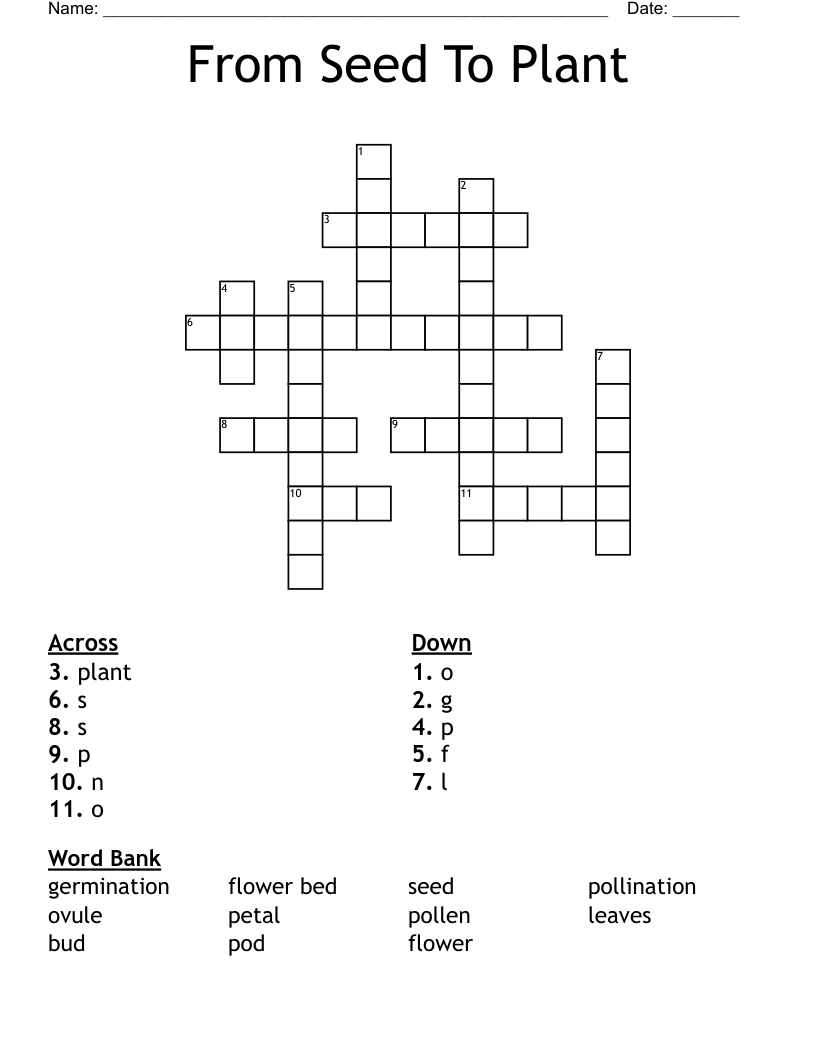 From Seed To Plant Crossword