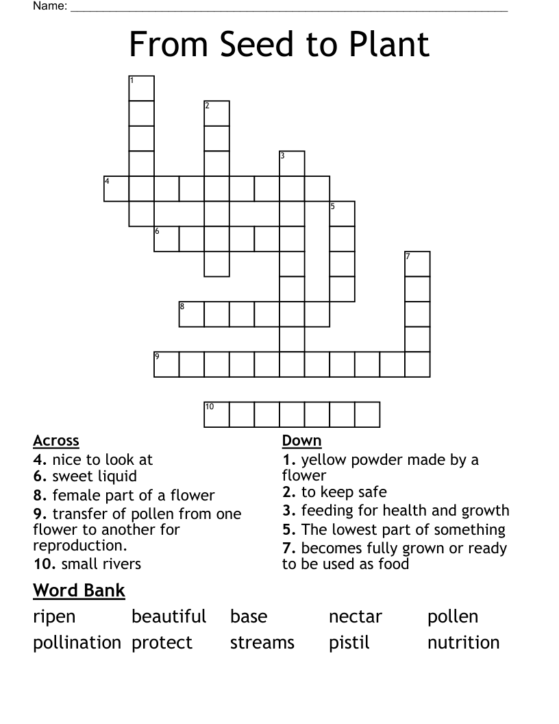 From Seed to Plant Crossword