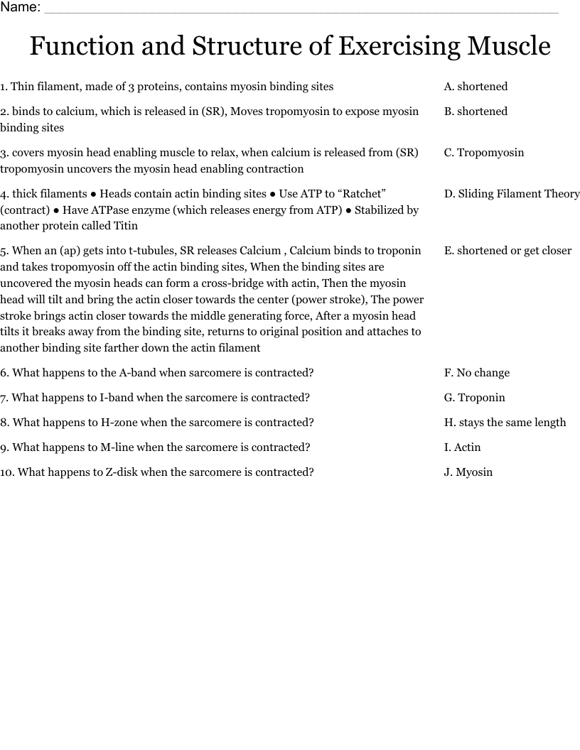 Function and Structure of Exercising Muscle Worksheet