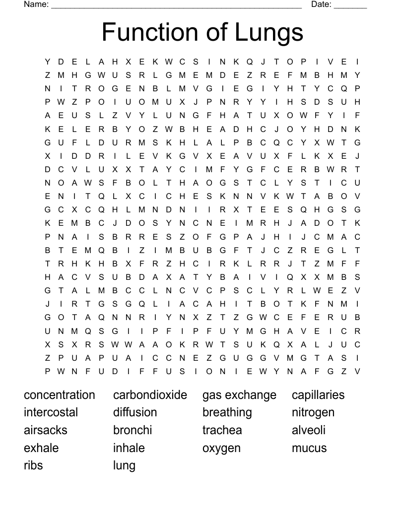 Function of Lungs Word Search