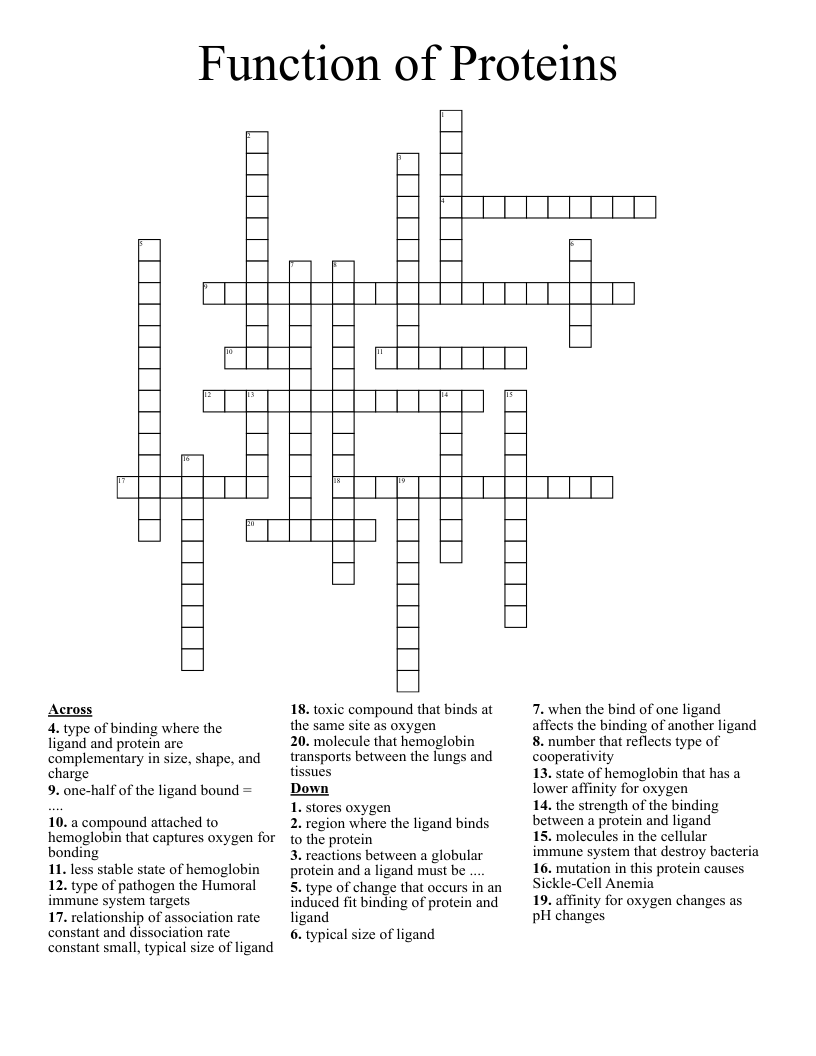 Function of Proteins  Crossword