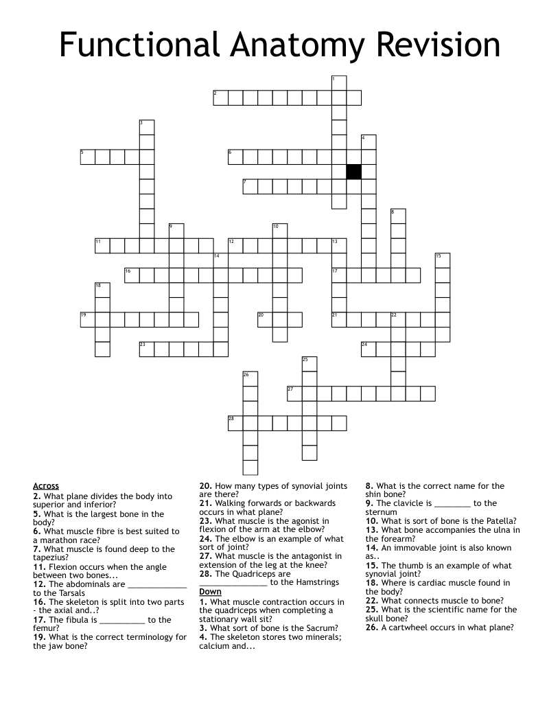Functional Anatomy Revision Crossword