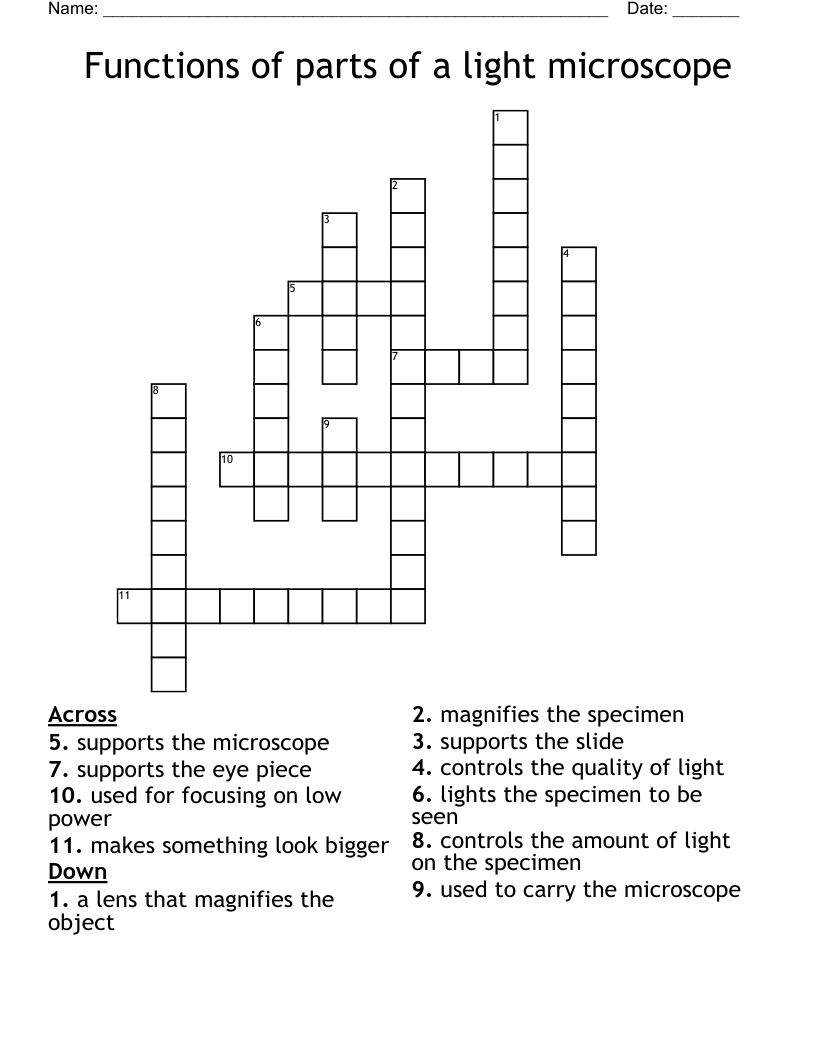Functions of parts of a light microscope Crossword