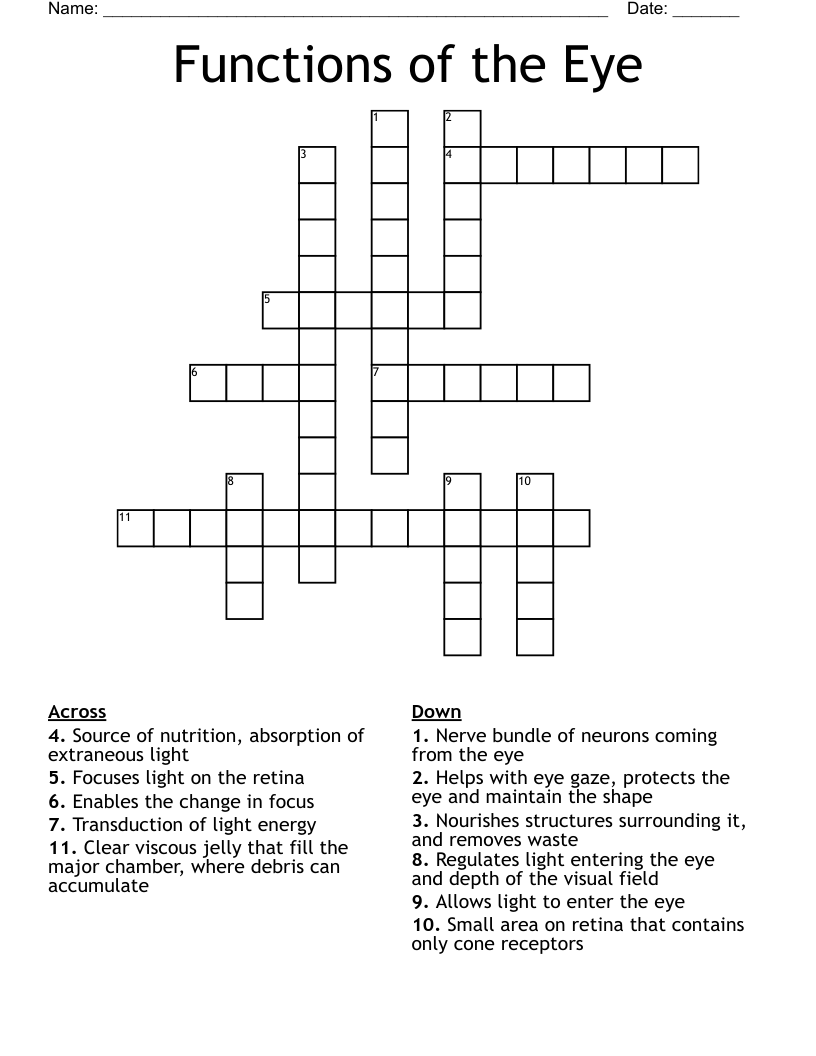 Functions of the Eye Crossword