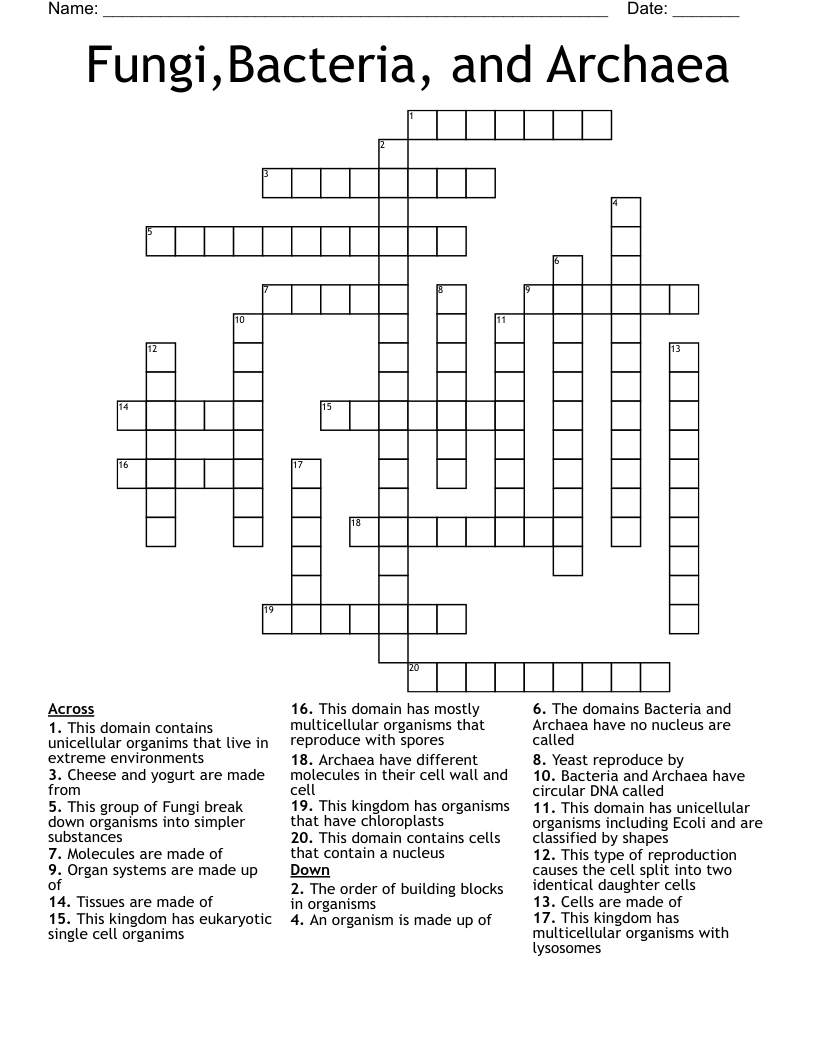 Fungi,Bacteria, and Archaea Crossword