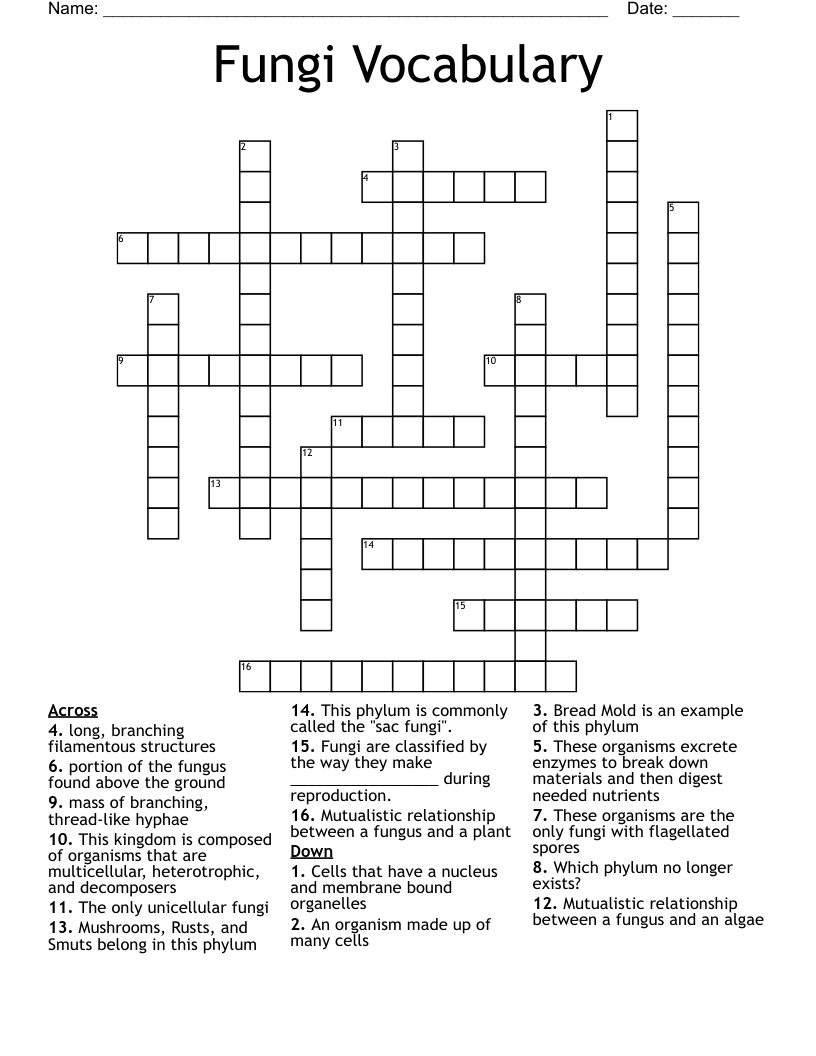 Fungi Vocabulary  Crossword