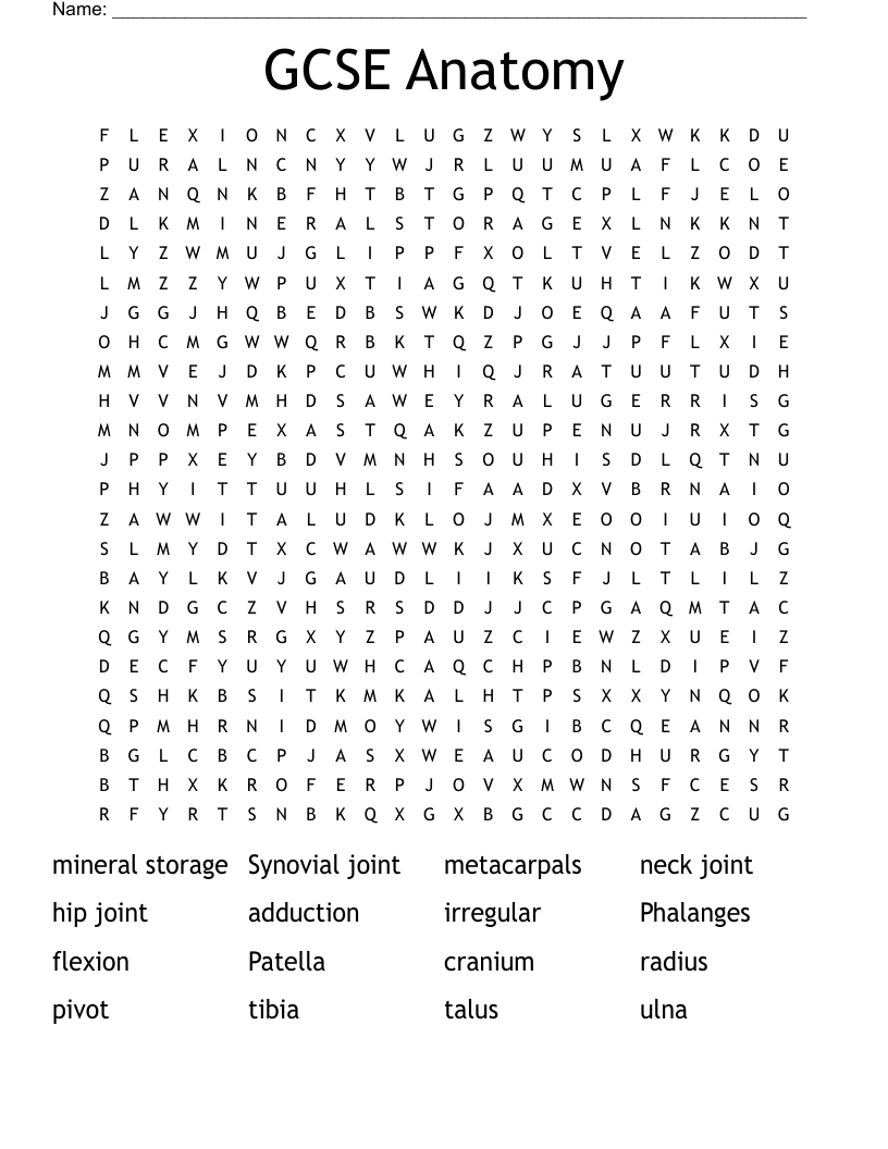 GCSE Anatomy  Word Search