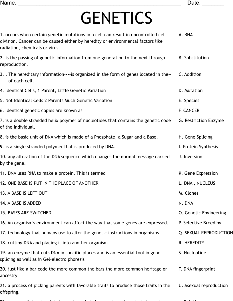 GENETICS Worksheet