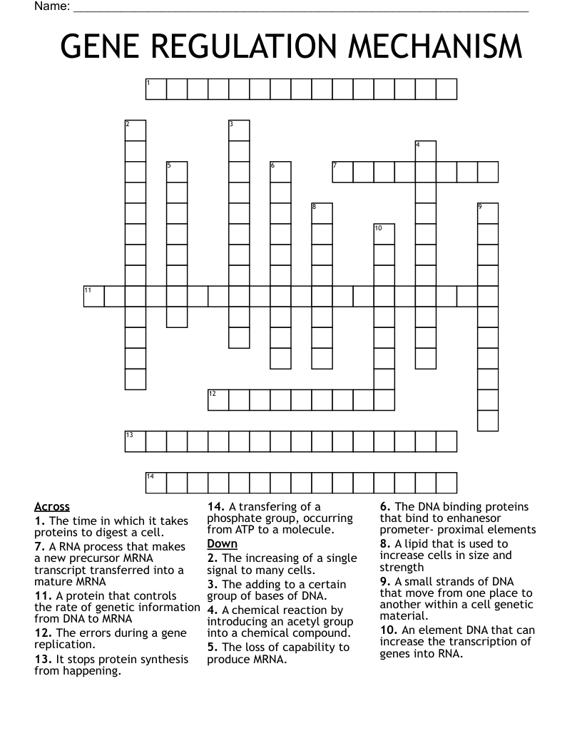 GENE REGULATION MECHANISM Crossword