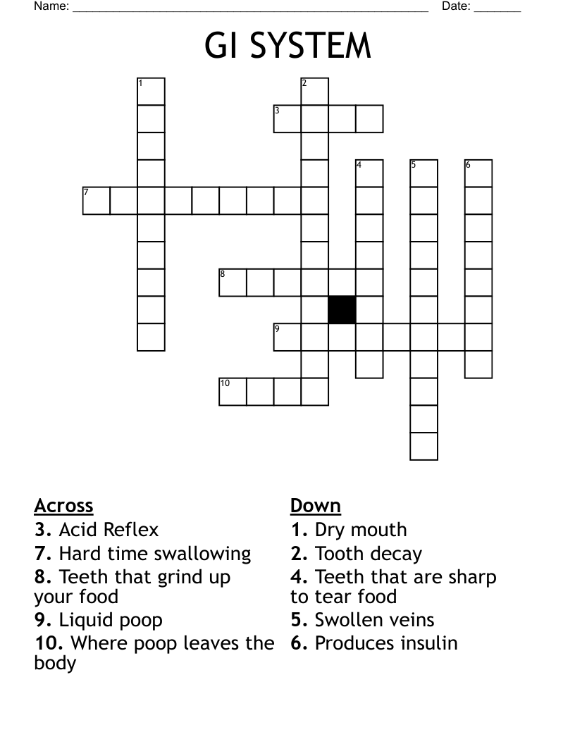 GI SYSTEM Crossword