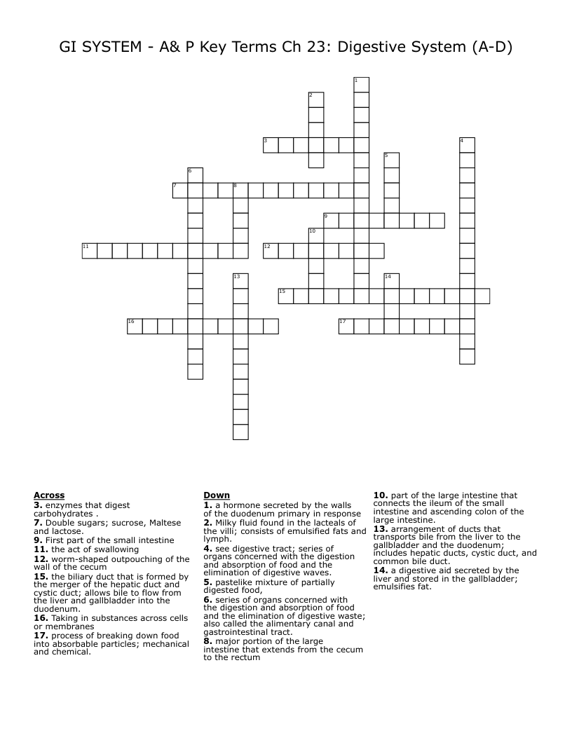 GI SYSTEM - A& P Key Terms Ch 23: Digestive System (A-D) Crossword