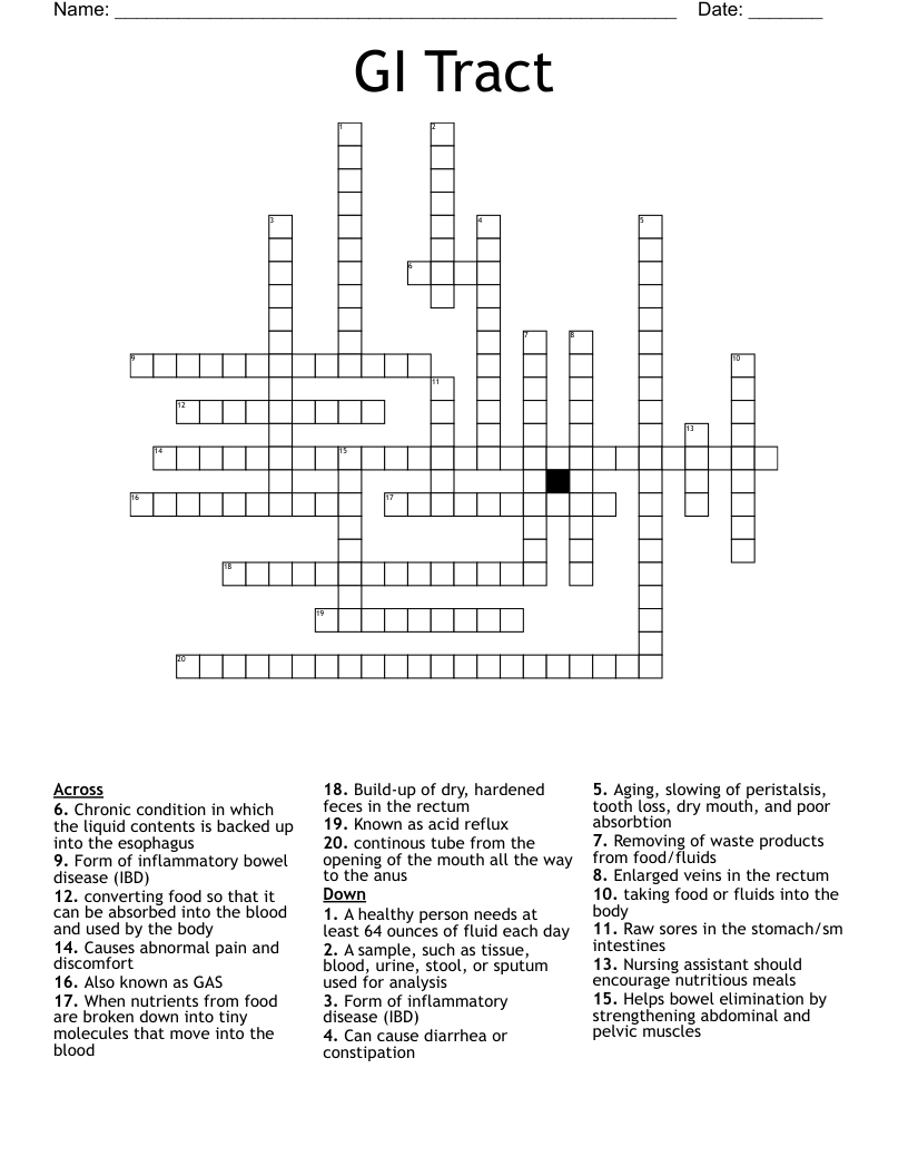 GI Tract Crossword