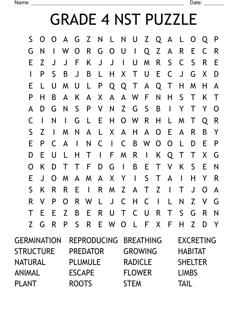 GRADE 4 NST PUZZLE Word Search