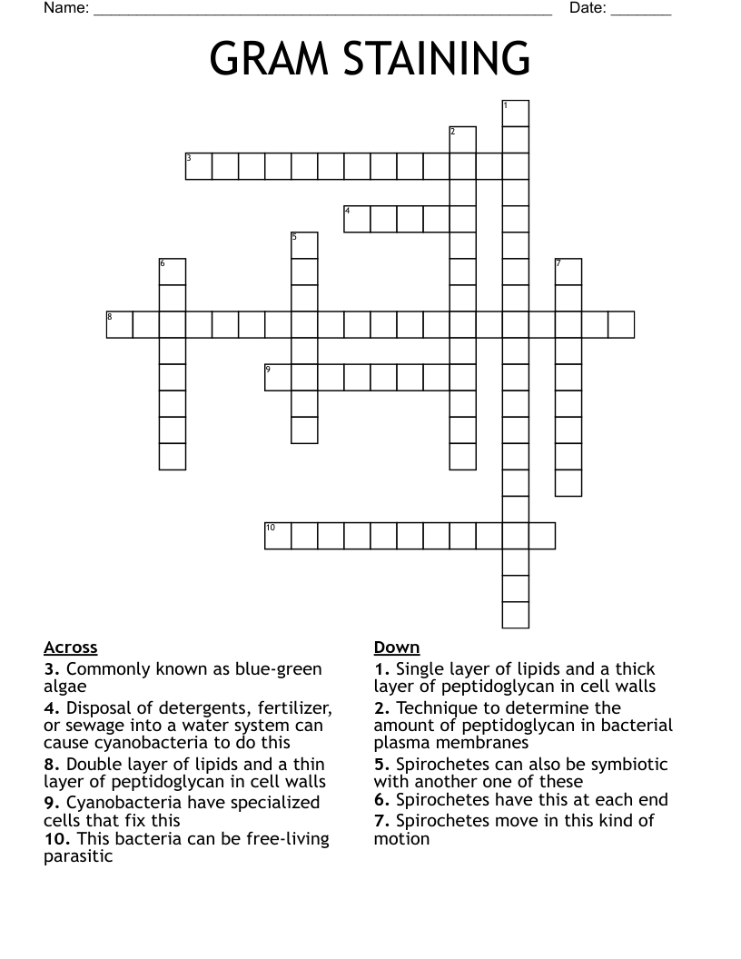 GRAM STAINING Crossword