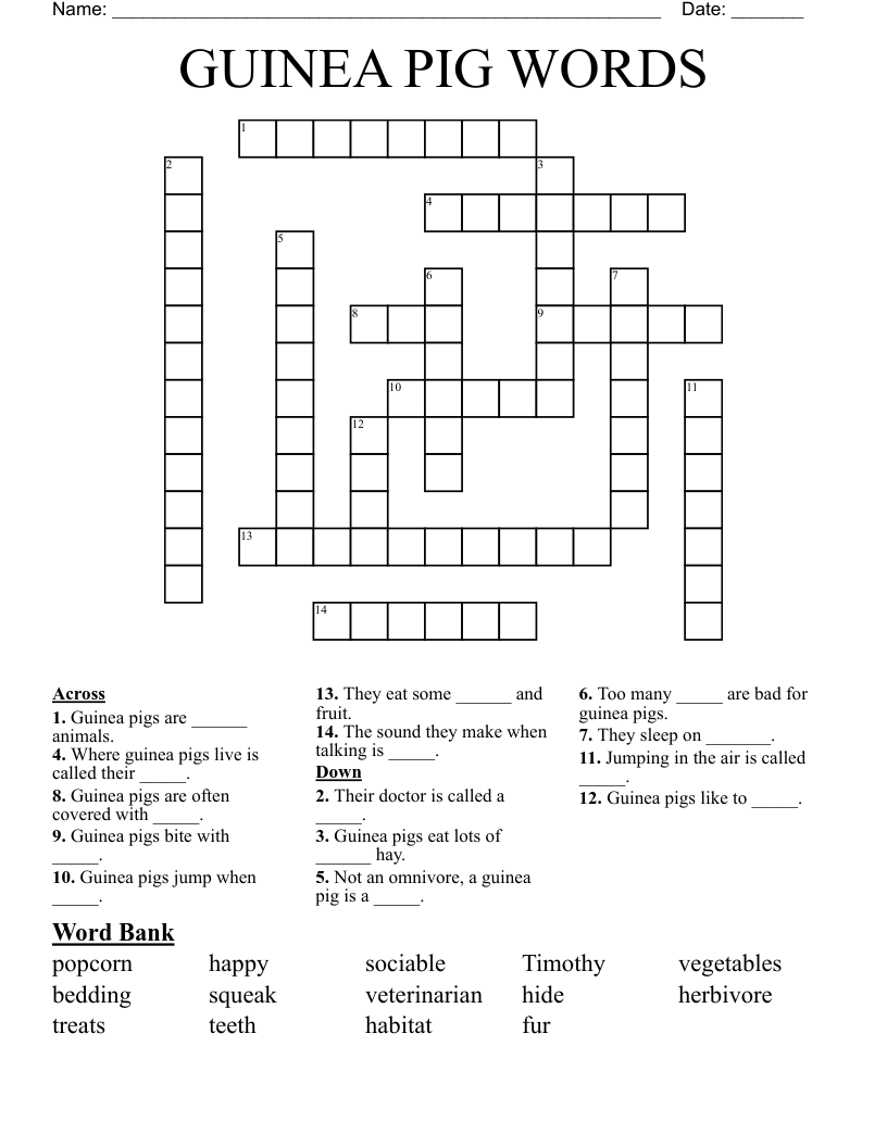 GUINEA PIG  WORDS Crossword