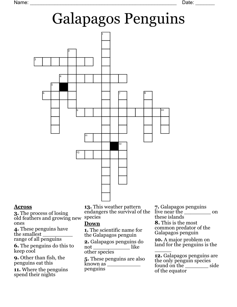Galapagos Penguins Crossword