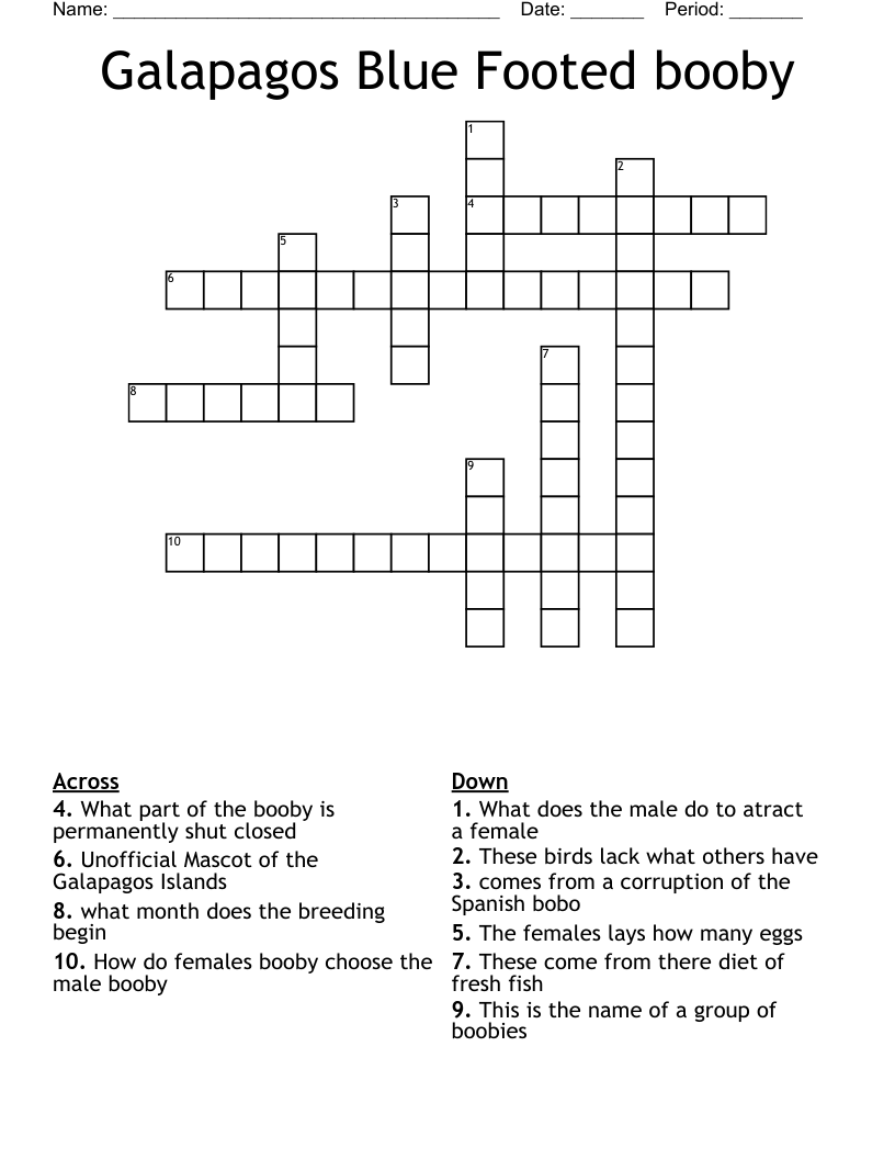 Galapagos  Blue Footed booby Crossword