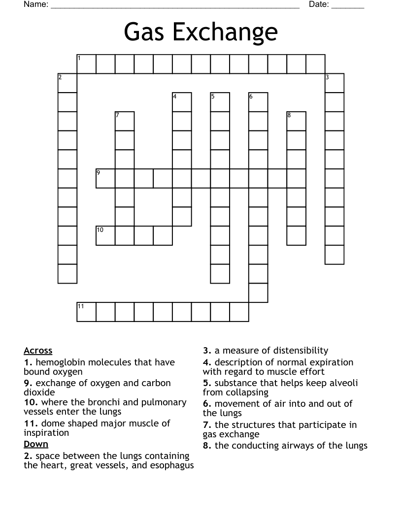 Gas Exchange Crossword