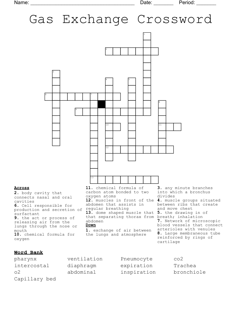 Gas Exchange Crossword 