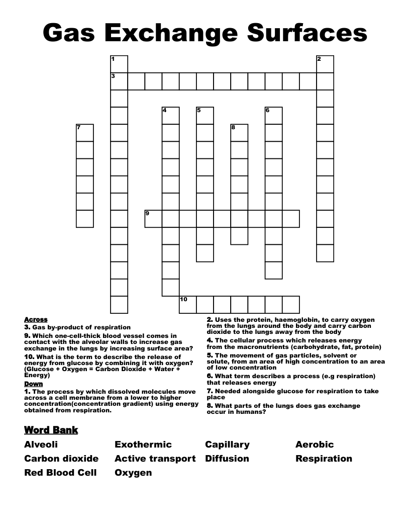 Gas Exchange Surfaces Crossword