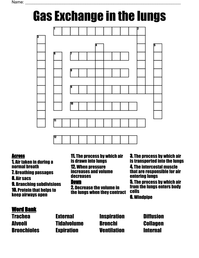 Gas Exchange in the lungs Crossword