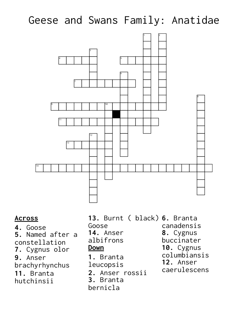 Geese and Swans  Family: Anatidae Crossword