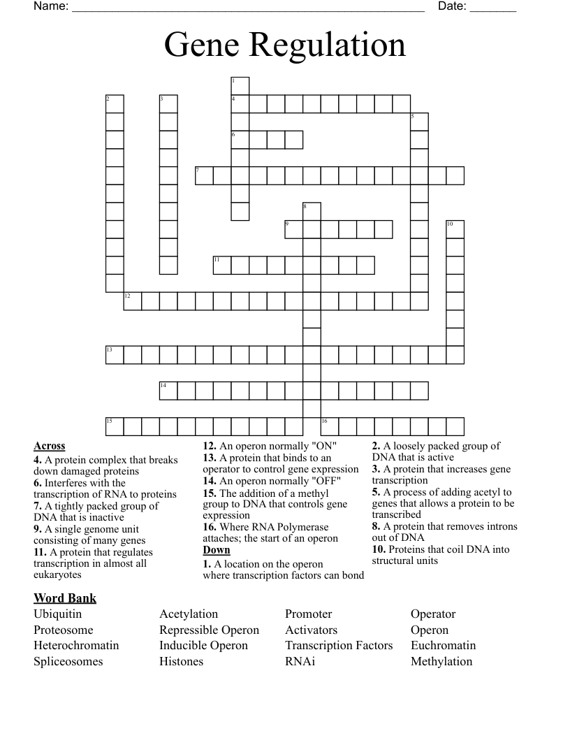 Gene Regulation Crossword