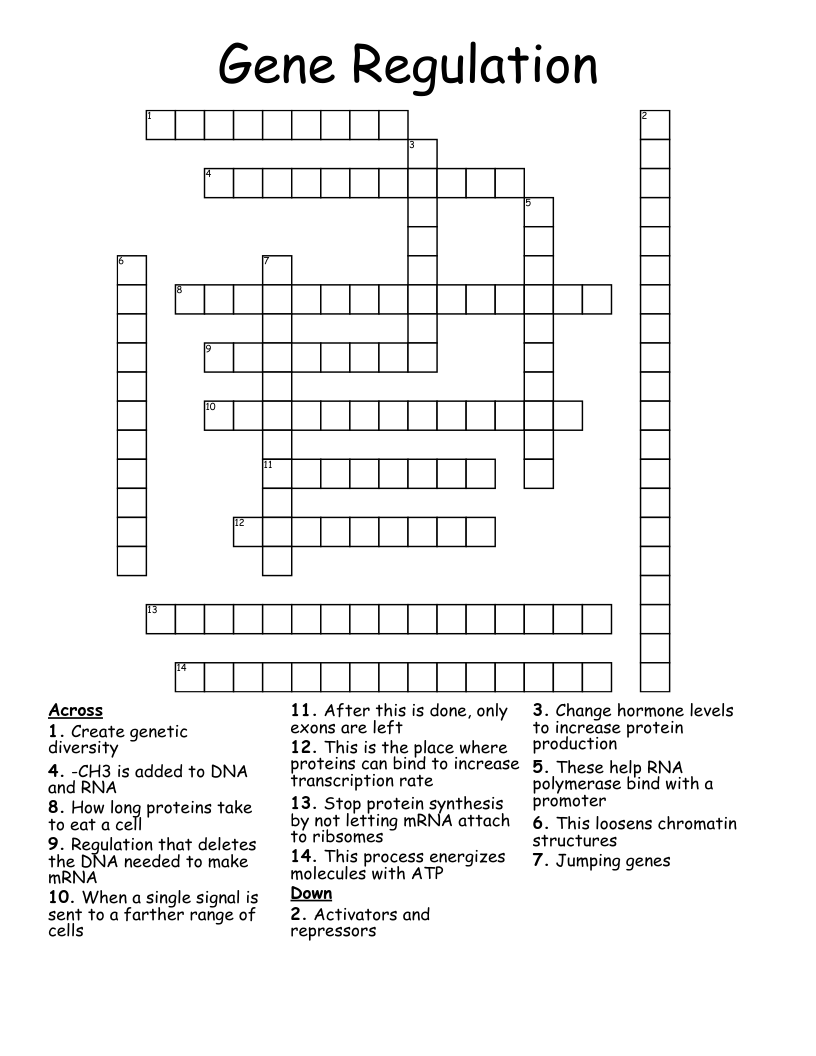 Gene Regulation Crossword