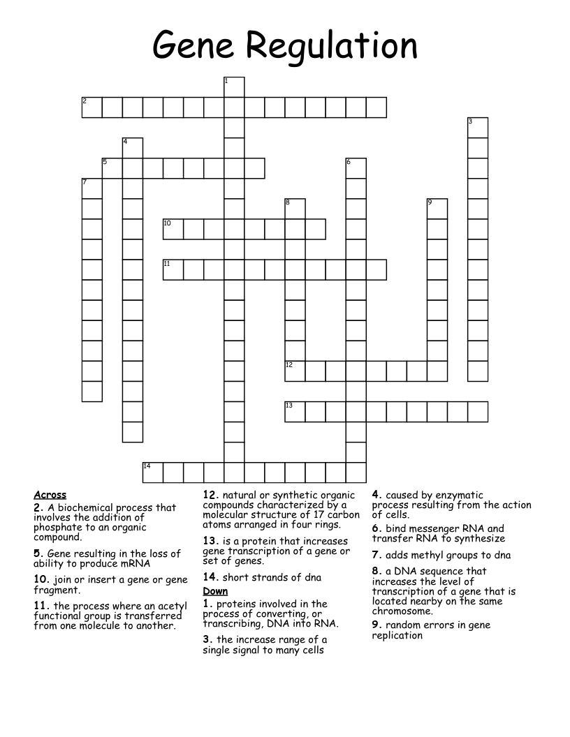 Gene Regulation Crossword